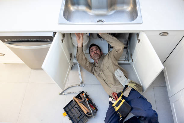 Best Local Plumber Services  in Dekal, IL